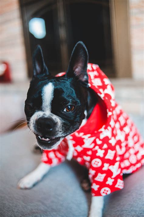 louis vuitton long sleeve shirt|louis vuitton french bulldog shirt.